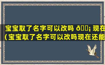 宝宝取了名字可以改吗 🐡 现在（宝宝取了名字可以改吗现在还能改吗）